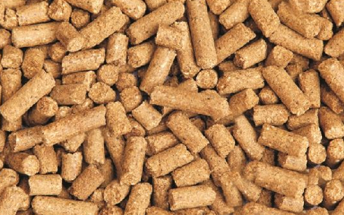 Cattle Feed